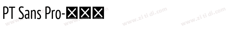 PT Sans Pro字体转换